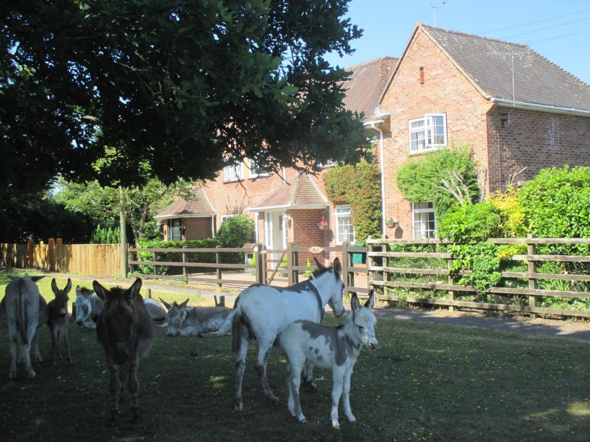 Willa Hops Main House, Brockenhurst, New Forest Zewnętrze zdjęcie