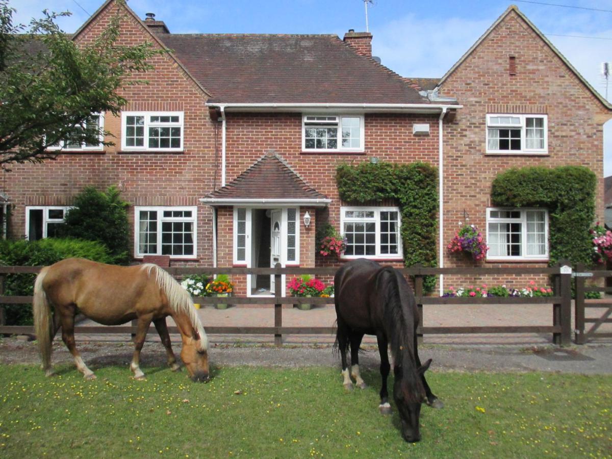 Willa Hops Main House, Brockenhurst, New Forest Zewnętrze zdjęcie