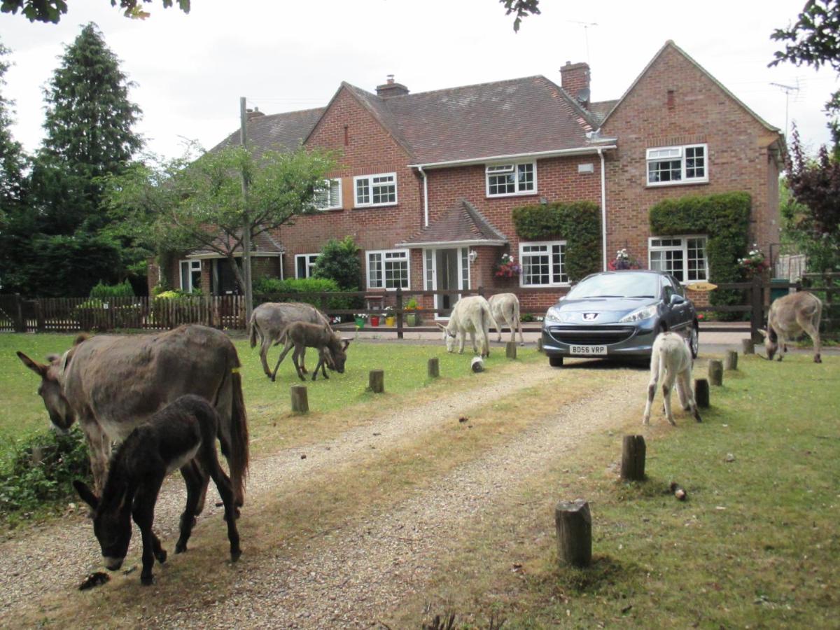 Willa Hops Main House, Brockenhurst, New Forest Zewnętrze zdjęcie